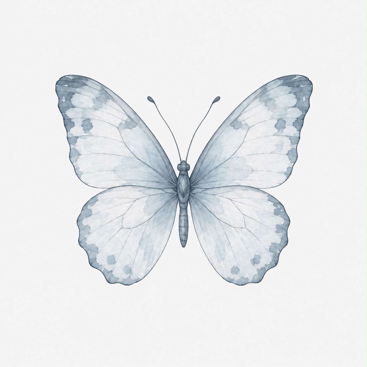 Borboleta em aquarela azul, símbolo de Maria Eduarda Baylão